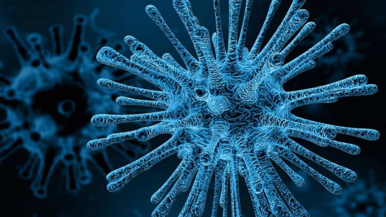 Deadly Virus: প্রাণঘাতী ভাইরাস নিয়ে গবেষেণা চলছে চিনে! আবার হতে পারে অতিমারি? Deadly Virus: প্রাণঘাতী ভাইরাস নিয়ে গবেষেণা চলছে চিনে! আবার হতে পারে অতিমারি?