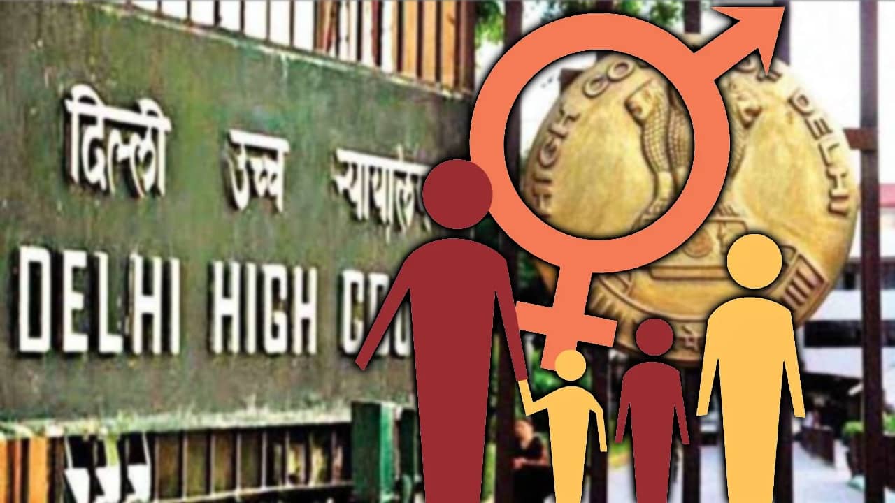Delhi High Court: সন্তান ছেলে হবে না মেয়ে, তা নির্ভর করে স্বামীদের উপরই...: দিল্লি হাইকোর্ট