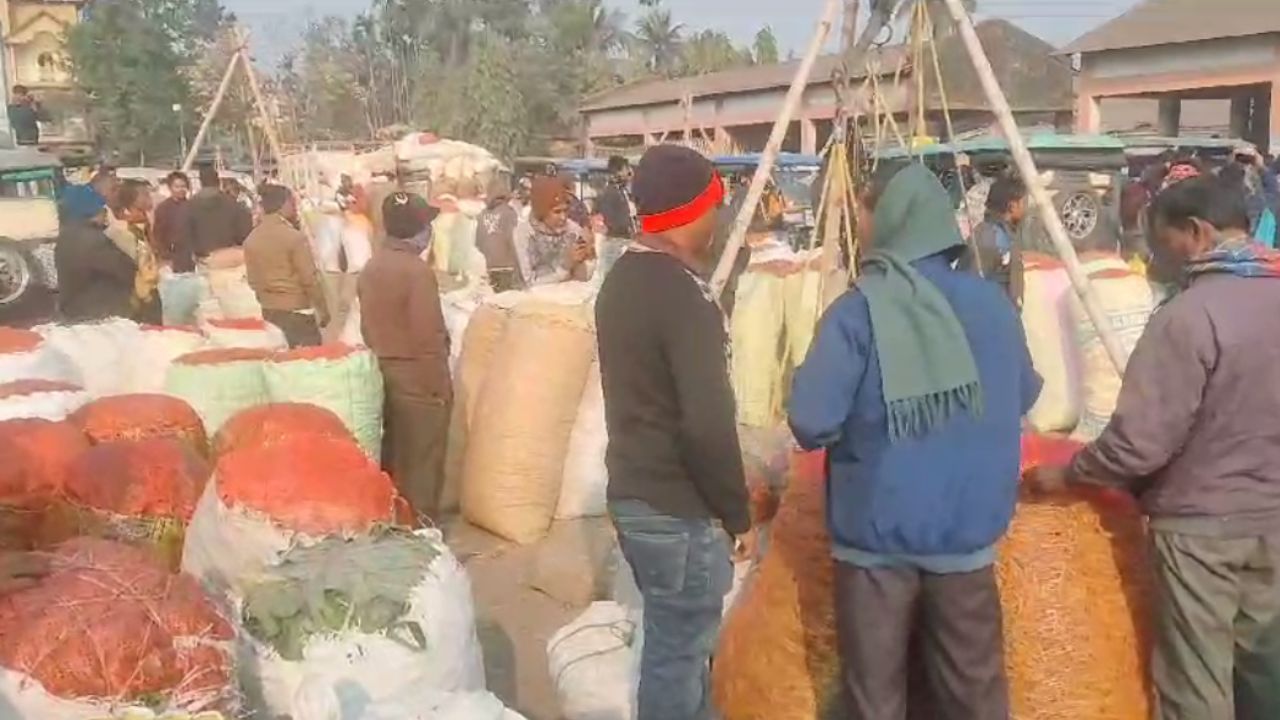 Dhupguri: দাম মিলছে না ঠিকঠাক, বিক্ষোভে নামলেন লঙ্কা চাষিরা