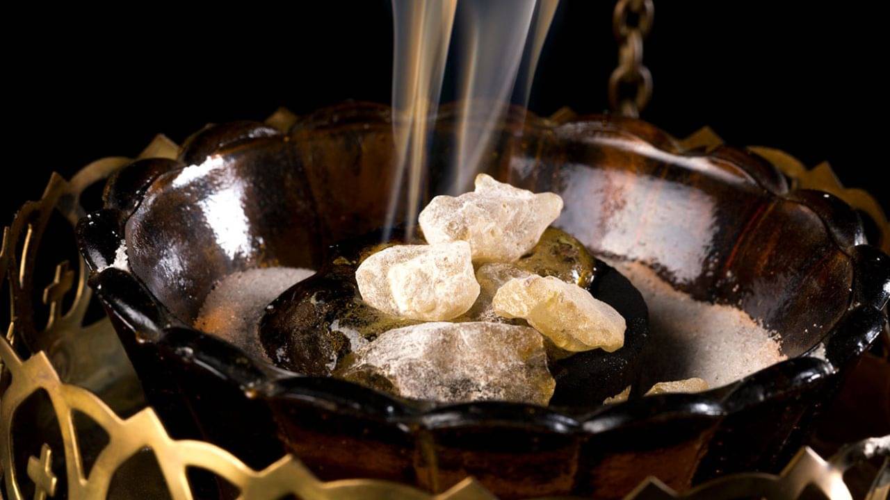 Astrology Remedy: প্রতিদিন পুজোর সময় এই ধূপ-ধুনো জ্বালানো শুভ, নেগেটিভ শক্তি পালাবে বাপ বাপ বলে