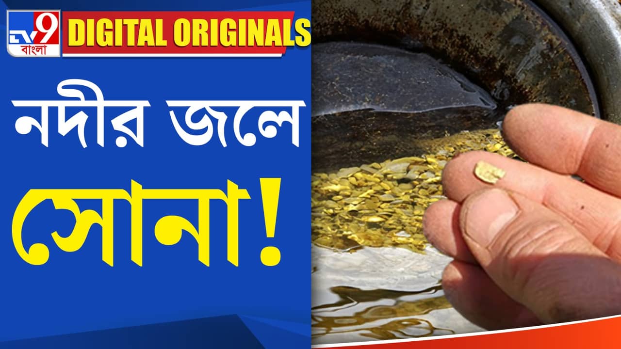Gold In River: নদীতে ভাসছে কিলো কিলো সোনা!