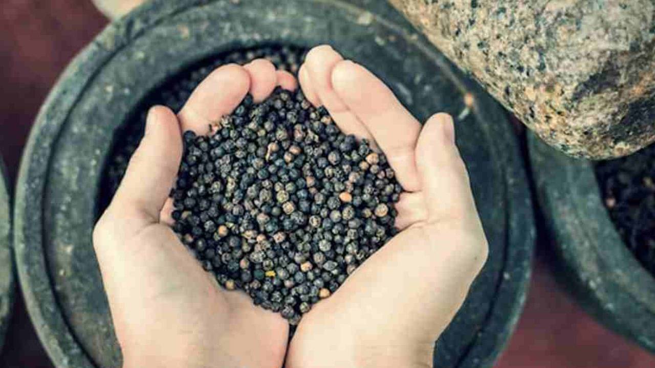 Tips of Black Pepper: কালো গোলমরিচের এই টিপস মেনে চললে পাল্টে যাবে জীবন দর্শনটাই!