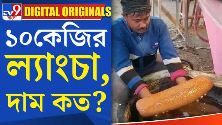Jumbo Langcha: এক হাতে ধরা যাবে না এই ল্যাংচা! Jumbo Langcha: এক হাতে ধরা যাবে না এই ল্যাংচা!