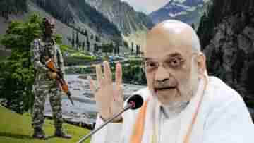 Amit Shah: কাশ্মীরের নিরাপত্তা নিয়ে উচ্চপর্যায়ের বৈঠকে শাহ, কী উঠে এল আলোচনায়