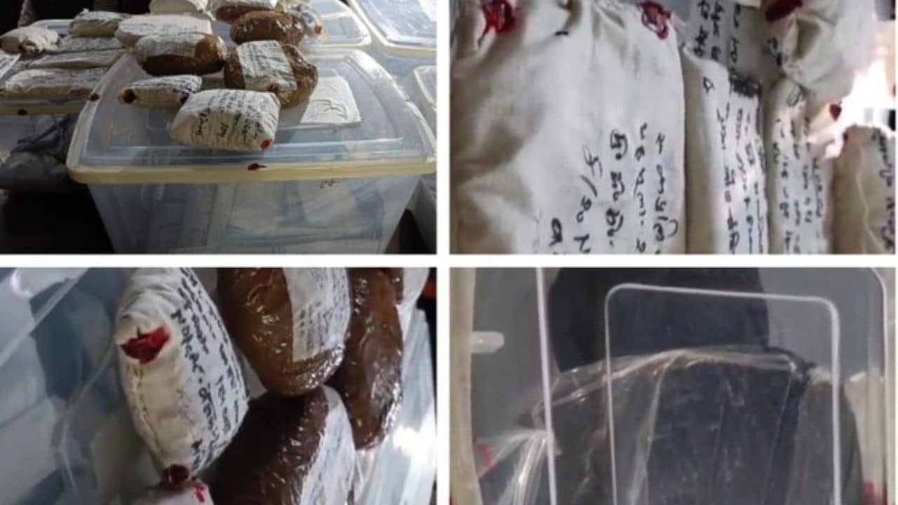 Drugs Racket: গাঁজা থেকে হ্যাশ-যা চাইবেন, সব মিলবে এক ক্লিকেই! বিশ্ববিদ্যালয়েই রঙিন খেলা