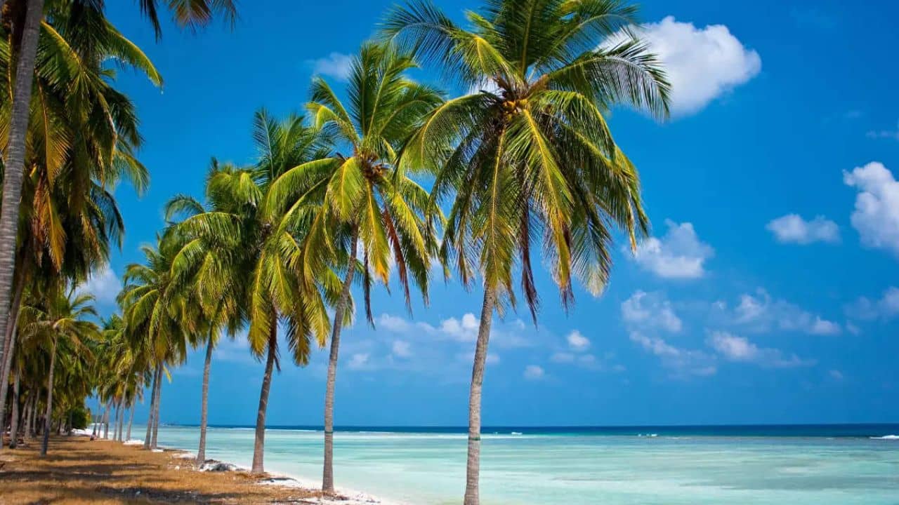 Lakshadweep Permit: চাইলেই যেতে পারবেন না লাক্ষাদ্বীপ, কীভাবে পারমিট পাবেন জানুন...