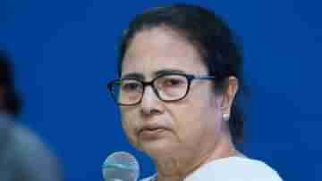 Mamata Banerjee: আমি যদি ভুল করি, সমালোচনা করবেন, খুশি হব: মমতা