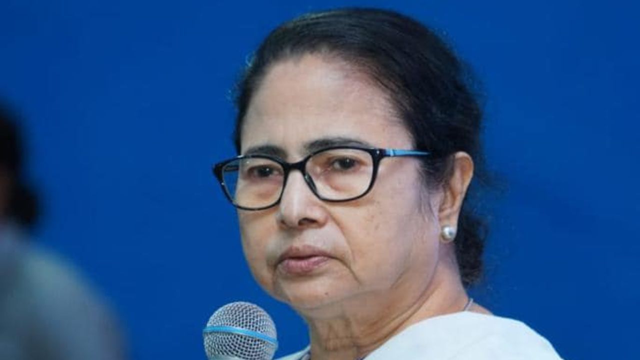 Mamata Banerjee: আমি যদি ভুল করি, সমালোচনা করবেন, খুশি হব: মমতা