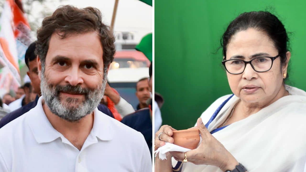 Mamata on Rahul: মালদায় কি রাহুলের সঙ্গে দেখা হবে? মমতা বললেন, এলে আসবেন, এক কাপ চা খেয়ে যাবেন