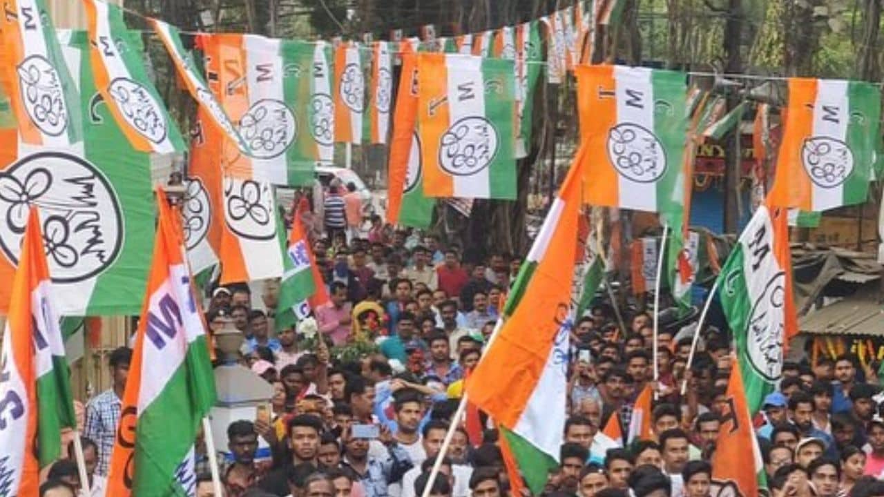 TMC: অরিজিনাল তৃণমূল কারা? দলেরই নেতাকে পচা আপেল বলে বিঁধলেন বিধায়কমশাই