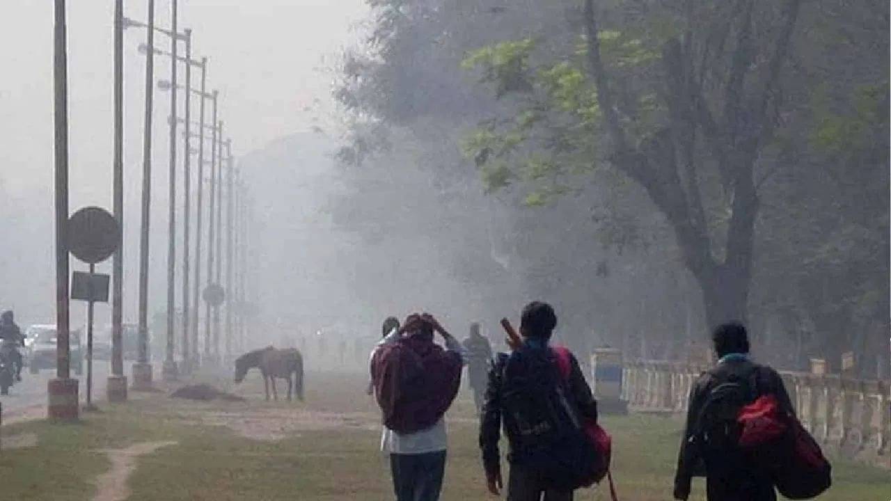 Weather Update: ‘দ্বিতীয় উষ্ণতম’ ২০২৩-এ শীতেই বেশি ‘উষ্ণায়ন’! জানুয়ারিতেও কি আশার খবর নেই?