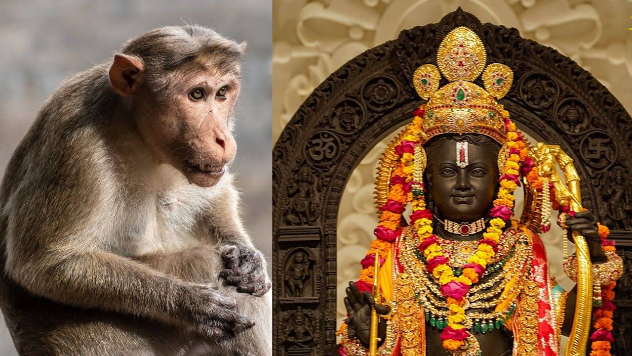 Ayodhya Ram Mandir: অলৌকিক মুহূর্ত, অযোধ্যায় রামলালা ফিরতেই দর্শন করতে এলেন হনুমান!