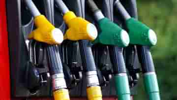 Petrol-Diesel Price: জ্বালানির জ্বালা শেষ, অম্বানীর এই সিদ্ধান্তে জলের দরে পাওয়া যাবে পেট্রোল-ডিজেল