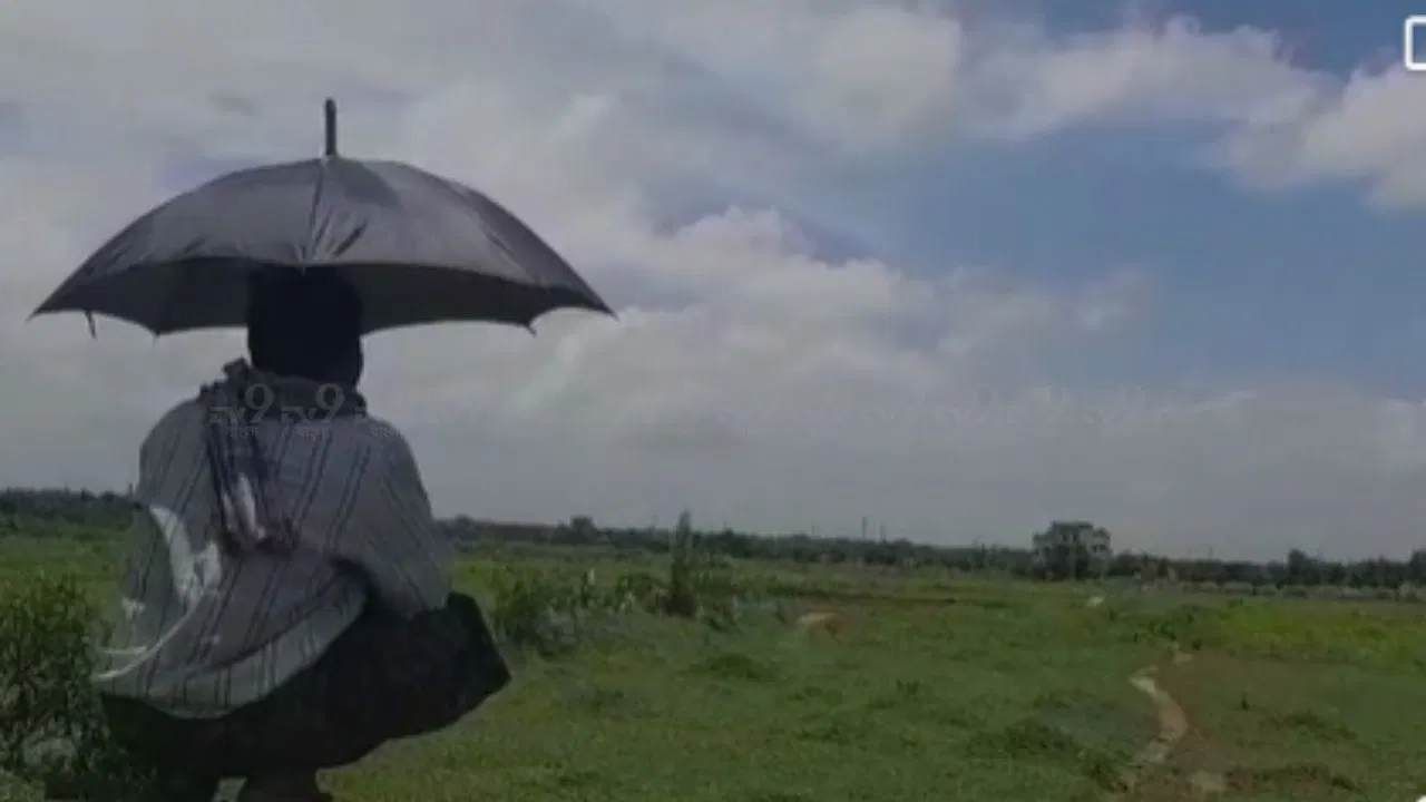Today Weather Update: আজ থেকেই বড় বদল আবহাওয়ায়, প্রমাদ গোনা শুরু কৃষকদের Today Weather Update: আজ থেকেই বড় বদল আবহাওয়ায়, প্রমাদ গোনা শুরু কৃষকদের