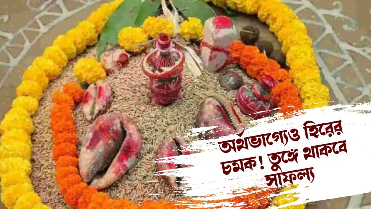 Makar Sankranti 2024: পৌষ সংক্রান্তির দিন থেকেই সোনার মত ভাগ্য চমকাবে এই ৫ রাশির, অর্থভাগ্যেও জুটবে রাতারাতি