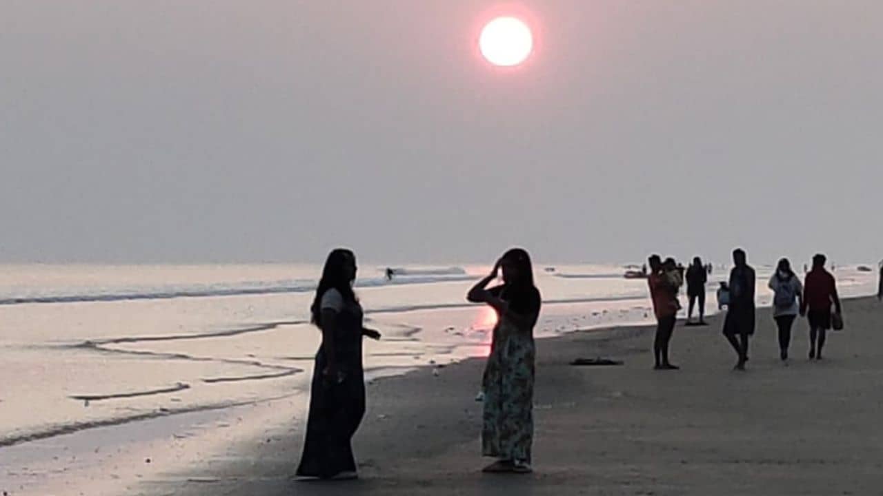 Mandarmani: পুরুষাঙ্গের মাপ অনুযায়ী বাড়ে ‘প্লে বয়দের’ দাম, বড়লোকের বউদের ‘খেলা’ চলছে মন্দারমনিতে!