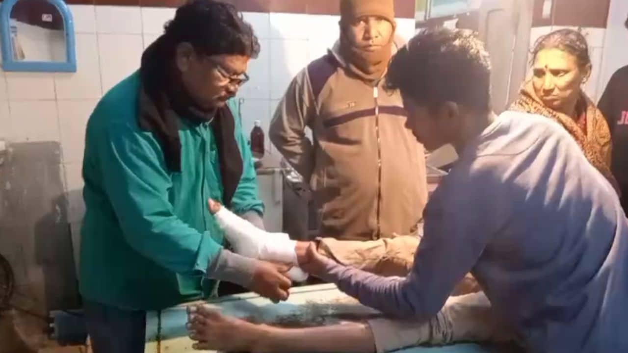 Nadia: সরকারি স্টিকার লাগানো গাড়ি উঠে গেল নাবালকের পায়ে, তারপর...
