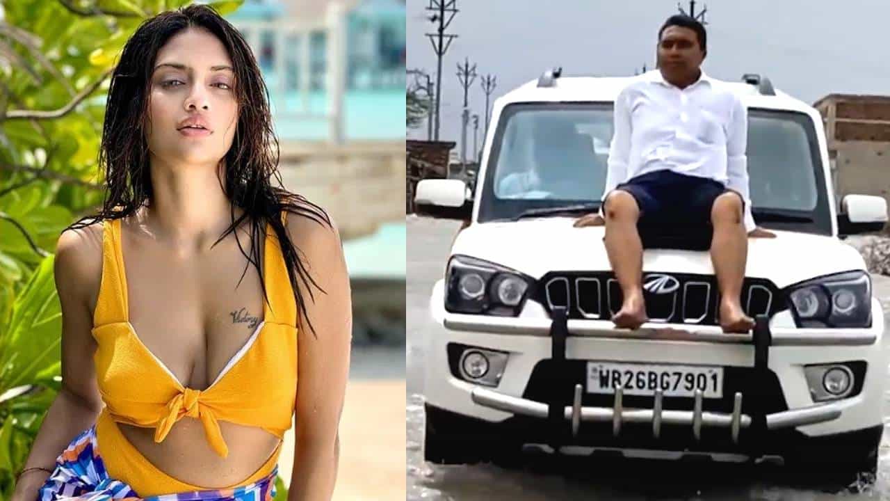 Shahjahan Sheikh: শাহজাহানের বাহুবলেই বসিরহাটে জয় নুসরতের? Shahjahan Sheikh: শাহজাহানের বাহুবলেই বসিরহাটে জয় নুসরতের?