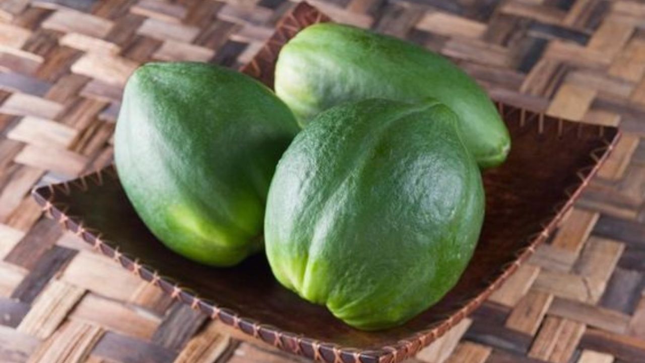 হার্ট ভালো রাখতে সাহায্য করে পেঁপে। বিশেষজ্ঞদের মতে, নিয়মিত পেঁপে খেলে কমে হার্ট অ্যাটাকের ঝুঁকি। পাশাপাশি ডায়াবেটিস নিয়ন্ত্রণ করতেও সাহায্য করে পেঁপে। (ছবি:Pinterest)