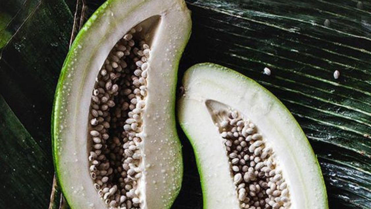 ক্যানসারের ঝুঁকি কমাতে সাহায্য করে পেঁপে। এ ছাড়া বাতের ব্যথা থেকে মুক্তি দেয় পেঁপে। এই সবজিতে প্রচুর পরিমাণে ফাইবার রয়েছে। যা ওজন কমাতে সাহায্য করে। (ছবি:Pinterest)
