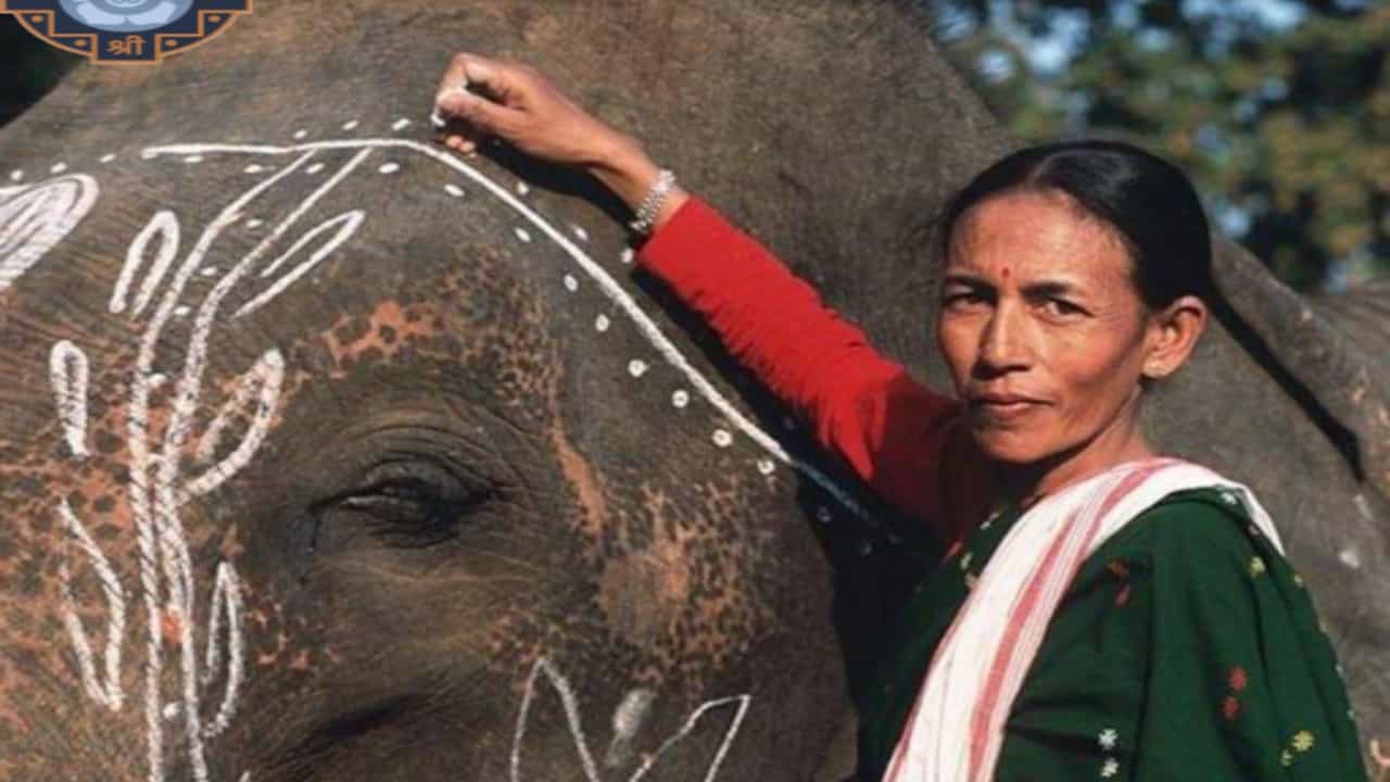 অসমের প্রাণী সংরক্ষক পার্বতী বড়ুয়া ভারতের প্রথম মহিলা মাহুত। হাতি সামলানোর মতো কঠিন কাজ মহিলাদের পক্ষে সম্ভব নয়, এই ধারণার মূলেই আঘাত করেছেন এই ৭০ বছর বয়সী মহিলা। মাত্র ১৪ বছর বয়স থেকেই এই কাজ শুরু করেছেন তিনি। বহু দলছুট বন্য হাতির প্রাণ বাঁচিয়েছেন তিনি। তার জীবনের উপর ভিত্তি করে "কুইন অব দ্য এলিফ্যান্টস" নামে একটি তথ্যচিত্র তৈরি করেছে বিবিসি।