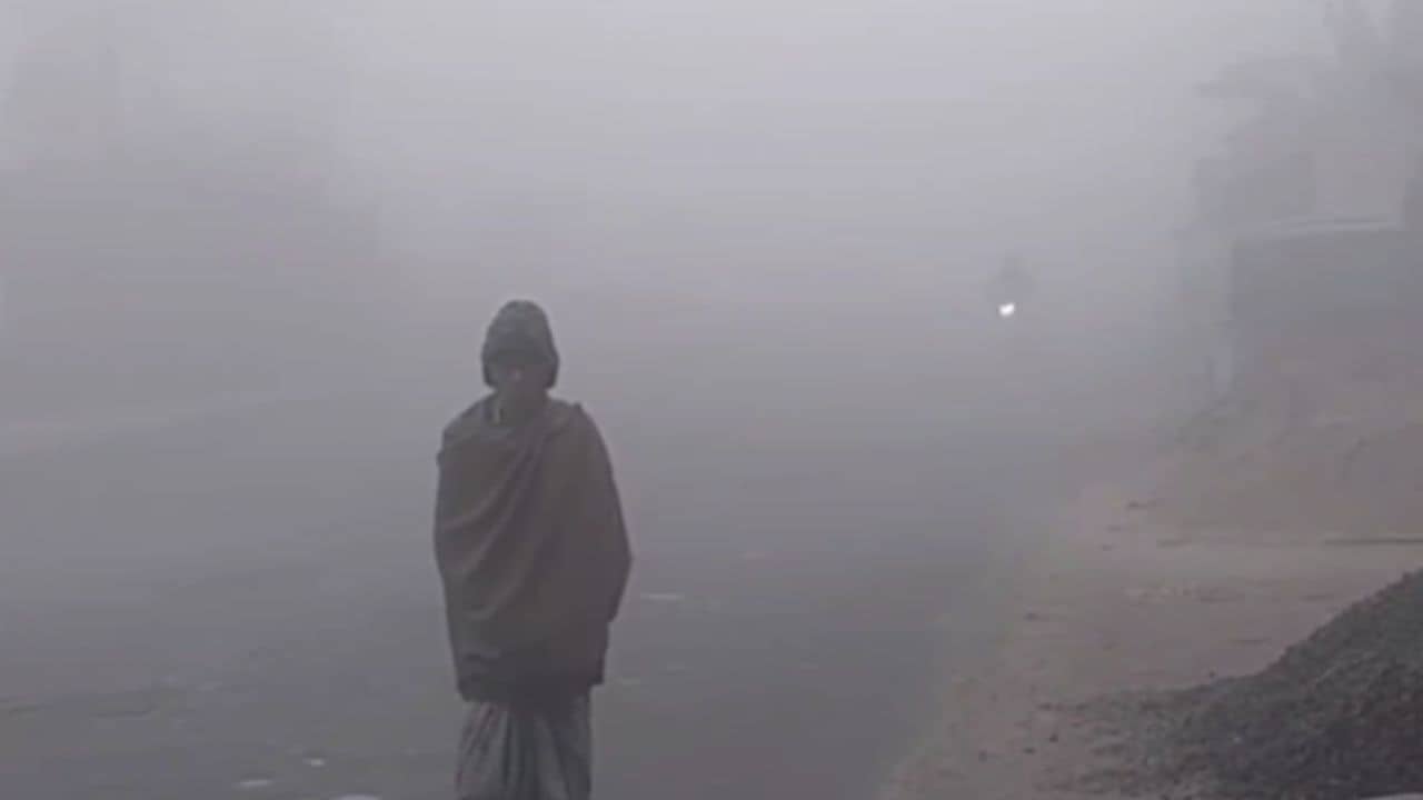 Potato: বৃষ্টি নেই, হওয়ার কোনও পূর্বাভাসও নেই, এবার নতুন সমস্যায় লক্ষ লক্ষ টাকার ক্ষতির মুখে আলু চাষিরা