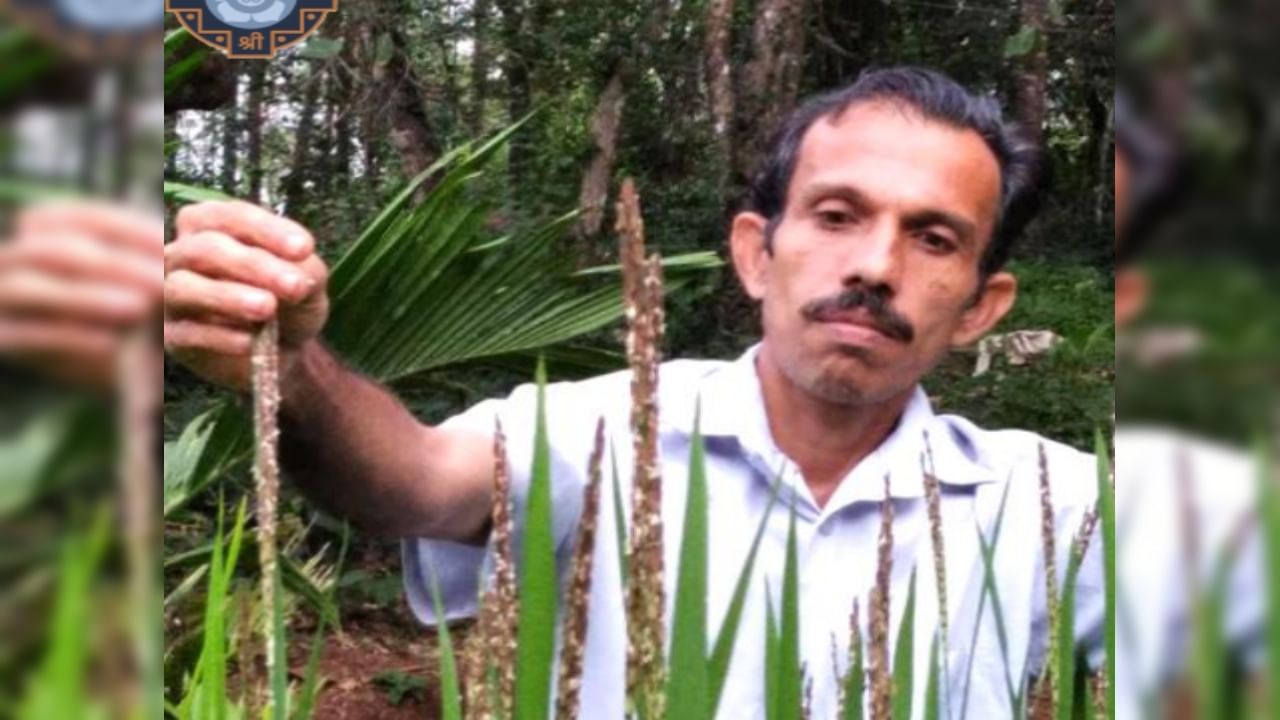 কেরলের কাসারগড়ের ধান চাষী সত্যনারায়ণ বেলেরিকেও পদ্মশ্রী সম্মান জানানো হচ্ছে। ৬৫০টিরও বেশি ঐতিহ্যবাহী ধানের জাত সংরক্ষণ করে তিনি "সিডিং সত্য" নামে পরিচিতি পেয়েছেন। তাঁক "ধানের অভিভাবক"-ও বলে থাকেন অনেকে। তাঁর নিজস্ব উদ্ভাবন, 'পলিব্যাগ পদ্ধতি' ব্যবহার করে তিনি সুতা, জায়ফল এবং কালো মরিচের মতো অন্যান্য ঐতিহ্যবাহী বীজও সংরক্ষণ করেছেন। কর্নাটক, কেরল এবং তামিলনাড়ুর জুড়ে ধানের উৎপাদন বাড়ানোর কৃতিত্ব এই ৫০ বছরের মানুষটিকেই দেওয়া হয়। 