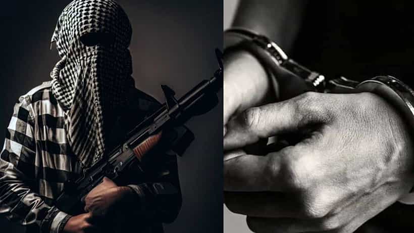 Hizbul Terrorist Arrest: দিল্লিতে গ্রেফতার হিজবুল মুজাহিদিনের ওয়ান্টেড জঙ্গি