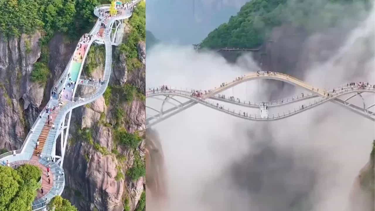 পাহাড়ের খাদে এই বিশাল ঝুলন্ত ব্রিজে চড়ার দম চাই, দুর্বল হৃদয়ের হলে দেখবেন না ভিডিয়ো পাহাড়ের খাদে এই বিশাল ঝুলন্ত ব্রিজে চড়ার দম চাই, দুর্বল হৃদয়ের হলে দেখবেন না ভিডিয়ো