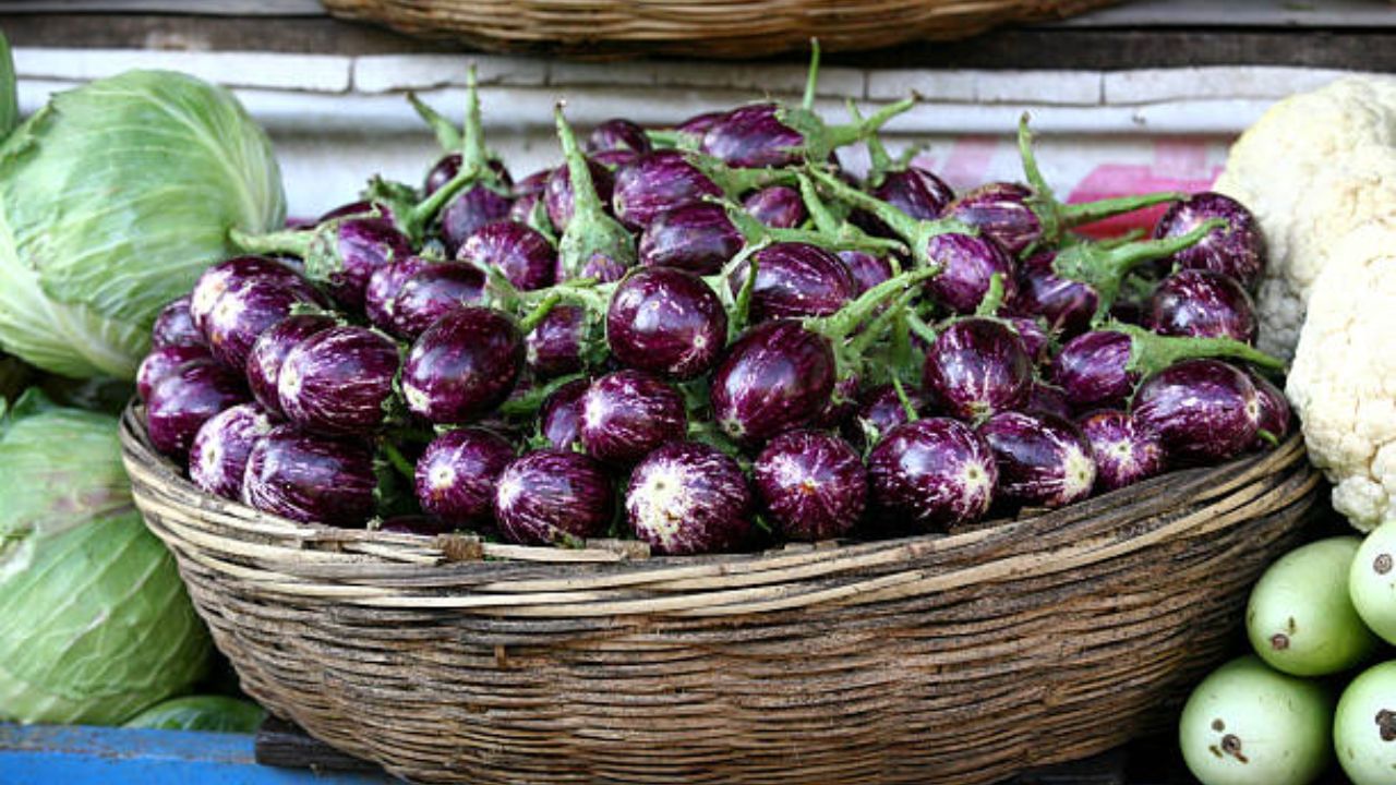 হৃদরোগের ঝুঁকি কমাতে এই শীতে রোজ বেগুন খান। বেগুনের মধ্যে ভিটামিন বি ও ফ্ল্যাভোনয়েড পাওয়া যায়। এছাড়া বেগুনের মধ্যে থাকা অ্যান্টিঅক্সিডেন্ট হার্টের যত্ন নেয় এবং হার্ট অ্যাটাকের সম্ভাবনা কমায়। 