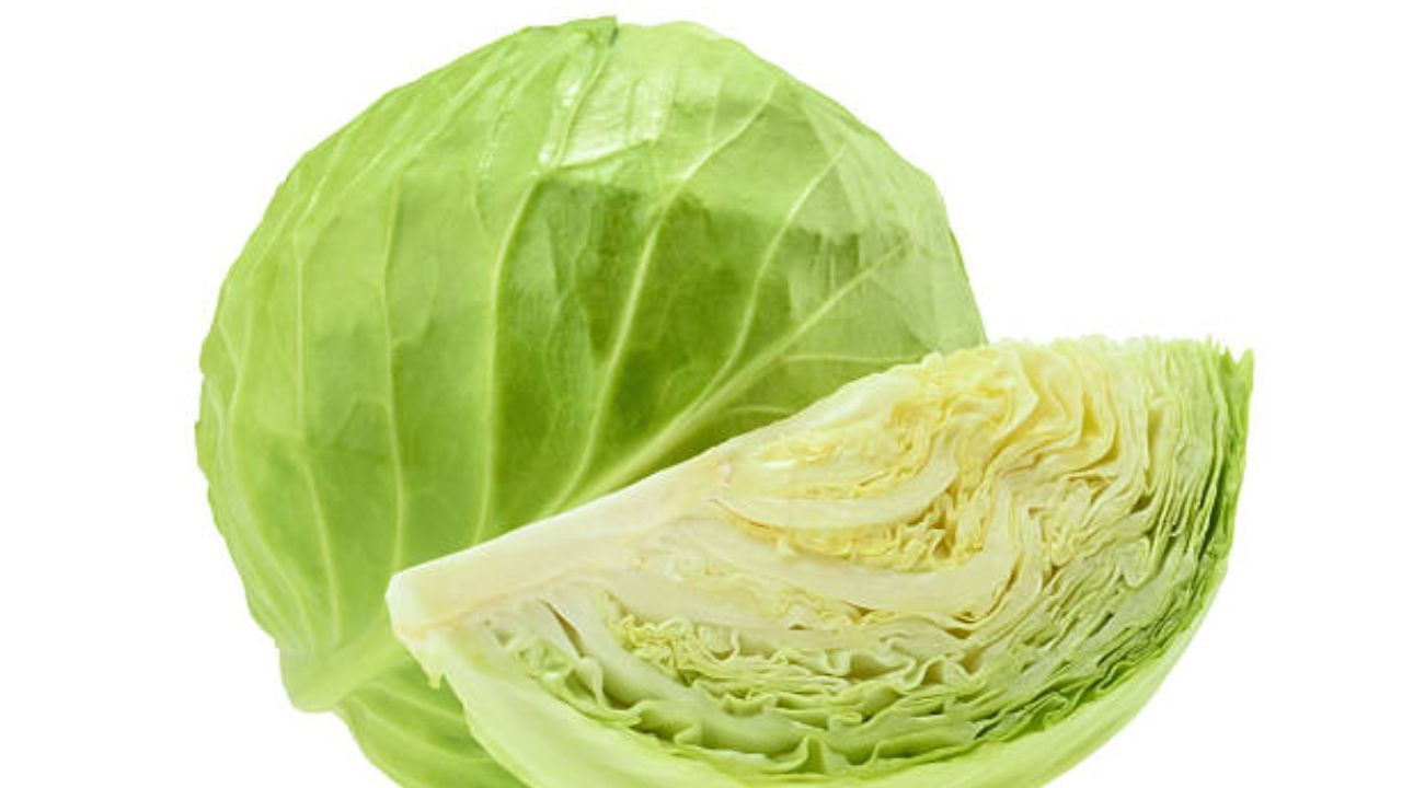 cabbage roll