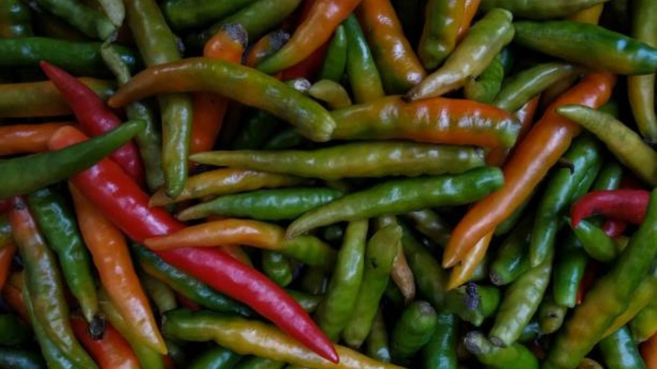 কাঁচা লঙ্কার এই বাটার মধ্যে স্বাদমতো নুন, পেঁয়াজ কুচি, সামান্য লেবুর রস, সামান্য কাঁচা সরষের তেল দিয়ে খুব ভাল করে মেখে নিতে হবে। গরম ভাতে এই ভর্তা মেখে খেতে লাগে দারুণ 