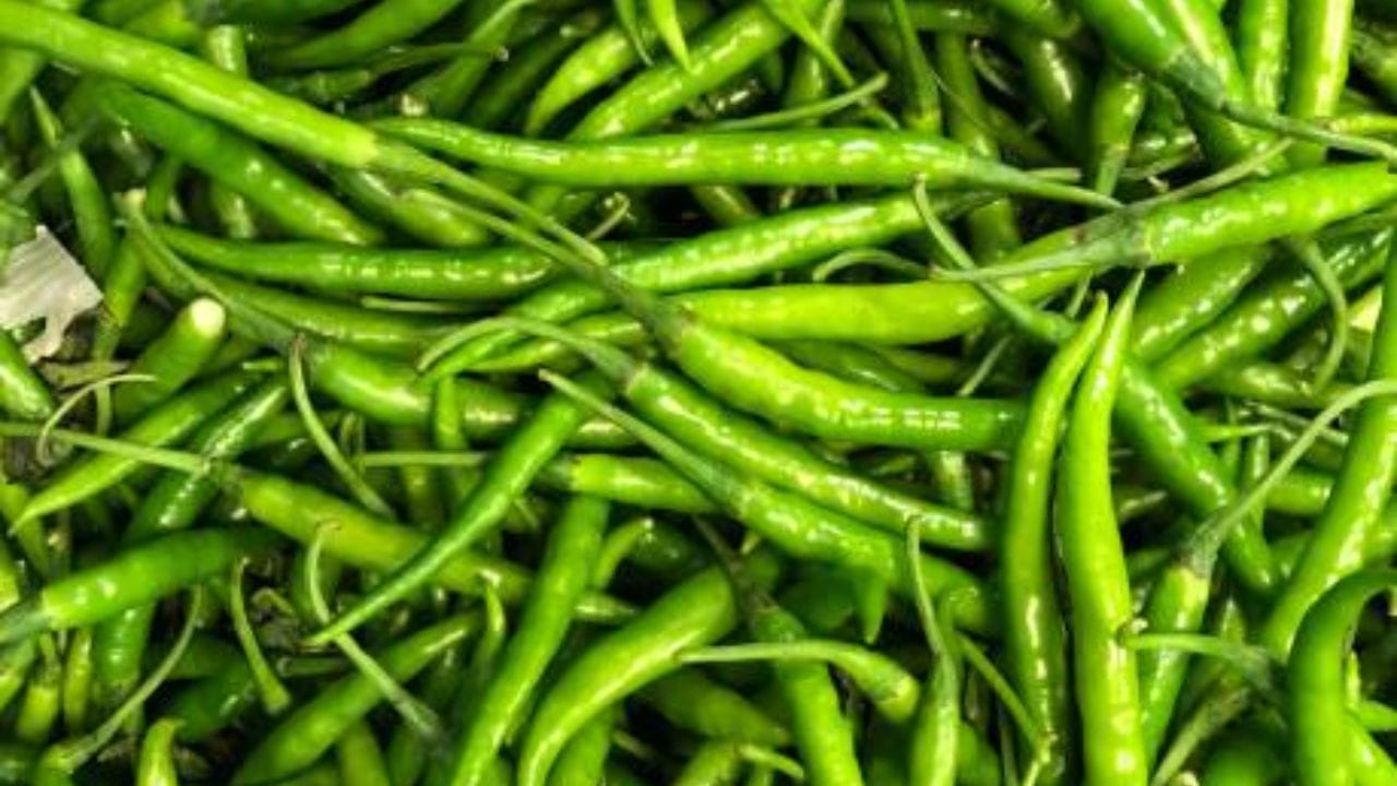 কড়াইতে সরষের তেল গরম করে ওর মধ্যে একবাটি পেঁয়াজ কুচি দিয়ে ভেজে নিতে হবে। এতে কয়েক কোয়া রসুন দিয়ে আবারও ভেজে নিতে হবে। খুব ঝাল লঙ্কা হলে বীজ বের করে নেবেন। কাঁচালঙ্কা নেড়েচেড়ে নিন পেঁয়াজের সঙ্গে। কাঁচালঙ্কা সেদ্ধ হলে একবাটি কুচনো ধনেপাতা দিন