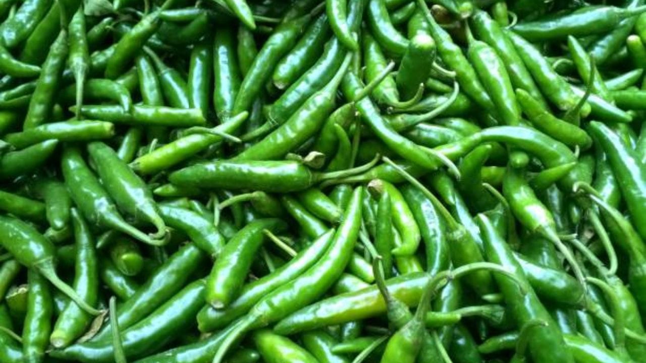 তবে শীতের দিনে ঝাল, মশলাদার খাবার খেতে কিন্তু বেশ লাগে। এই সময় সর্দি, কাশি, কফ ঠান্ডা লাগা এসব সমস্যা ঘরে ঘরে লেগেই থাকে। কফ কাশিতে খাওয়ার রুচি চলে যায়। যা খাওয়া হয় সবই তেতো লাগে। কোনও কিছু যেন খেতেই ইচ্ছে করে না। আর তাই এই সময় বাড়িতেই বানিয়ে নিন ঝাল ঝাল লঙ্কার কারি