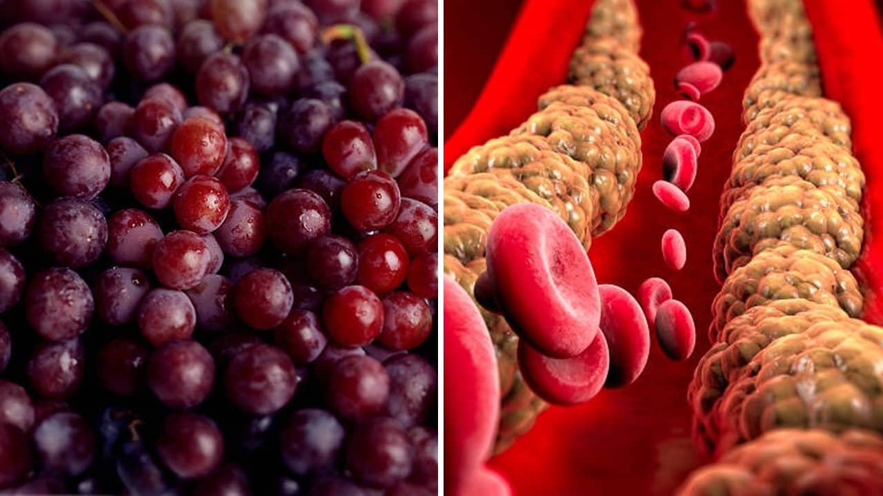 Cholesterol Lowering Fruits: শীতে মিটার বাড়ছে কোলেস্টেরলের? মুক্তি মিলবে এই ৬ ফলেই