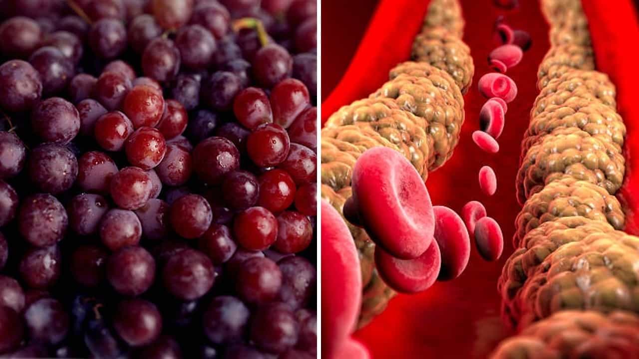 Cholesterol Lowering Fruits: শীতে মিটার বাড়ছে কোলেস্টেরলের? মুক্তি মিলবে এই ৬ ফলেই Cholesterol Lowering Fruits: শীতে মিটার বাড়ছে কোলেস্টেরলের? মুক্তি মিলবে এই ৬ ফলেই
