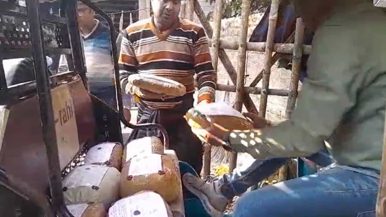 Marijuana Recover: বিজেপির পঞ্চায়েত সদস্যার স্বামী মাদক বিক্রেতা? বাড়ি থেকে উদ্ধার ২৬ কেজি গাঁজা Marijuana Recover: বিজেপির পঞ্চায়েত সদস্যার স্বামী মাদক বিক্রেতা? বাড়ি থেকে উদ্ধার ২৬ কেজি গাঁজা