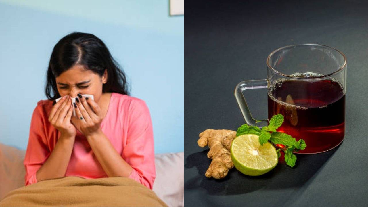 অ্যান্টিবায়োটিক খেয়ে কাশি কমছে না? এই ৪ পানীয়তে চুমুক দিলে জমে থাকা কফ বেরিয়ে যাবে