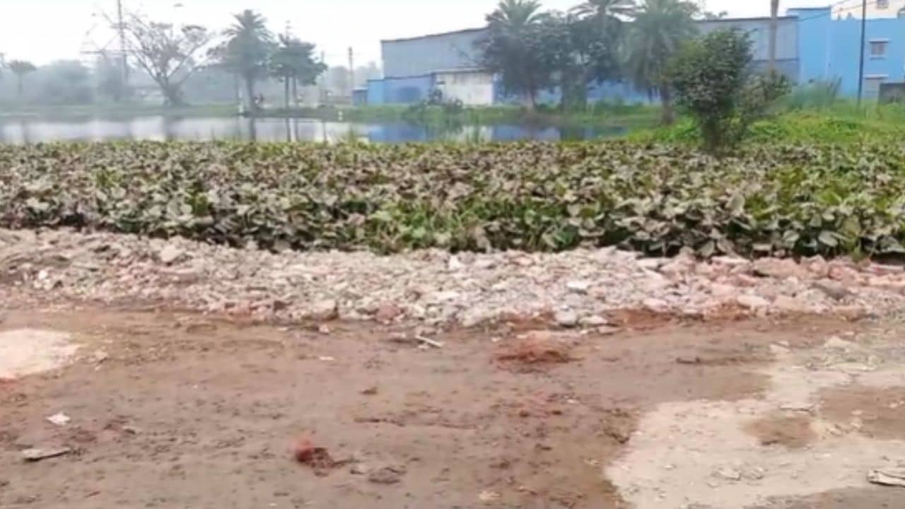 Howrah: বুজে যাচ্ছে খাল, আর তার ওপরেই মাথা চাড়া দিয়ে উঠছে এক শ্রেণি
