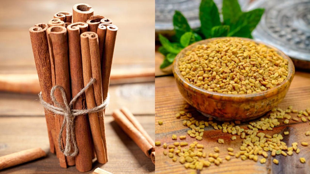 আজকাল ডায়াবেটিসের রোগী ঘরে-ঘরে। কিন্তু রোজের ডায়েটে দারুচিনি রাখলে সুগারের বাড়বাড়ন্তকে বশে রাখতে পারবেন। চা-কফি বা কোনও ডেজার্ট‌ে চিনির বদলে দারুচিনি ব্যবহার করুন। রক্তে শর্করার মাত্রা নিয়ন্ত্রণে রাখতে মেথি দানাও খেতে পারেন।