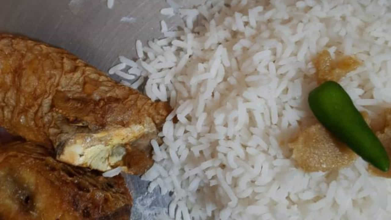 Kalonunia Rice: গরম ভাতে সামান্য ঘি, কাঁচা লঙ্কা, আর ভাজা... অমৃত 'কালো নুনিয়া'র জিআই স্বীকৃতিতে উচ্ছ্বসিত কৃষকরা Kalonunia Rice: গরম ভাতে সামান্য ঘি, কাঁচা লঙ্কা, আর ভাজা... অমৃত 'কালো নুনিয়া'র জিআই স্বীকৃতিতে উচ্ছ্বসিত কৃষকরা