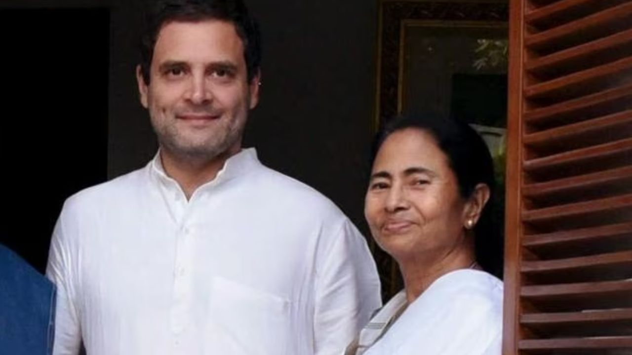 Rahul Gandhi on Mamata: মমতার সঙ্গে ব্যক্তিগত সম্পর্ক কেমন? রাহুল মুখ খুলতেই ফাঁপরে পড়লেন অধীর