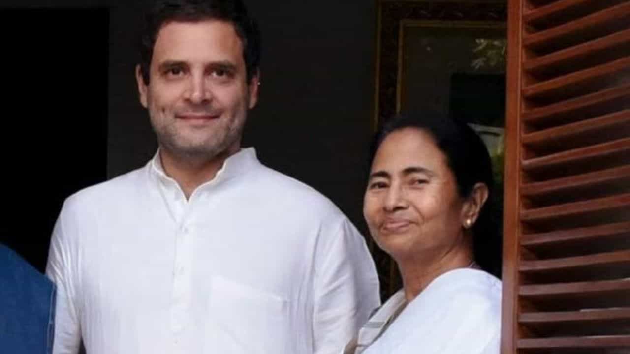 Rahul Gandhi on Mamata: মমতার সঙ্গে ব্যক্তিগত সম্পর্ক কেমন? রাহুল মুখ খুলতেই ফাঁপরে পড়লেন অধীর Rahul Gandhi on Mamata: মমতার সঙ্গে ব্যক্তিগত সম্পর্ক কেমন? রাহুল মুখ খুলতেই ফাঁপরে পড়লেন অধীর