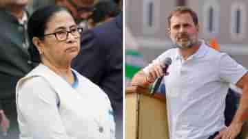 Rahul-Mamata: একইদিনে উত্তরবঙ্গে রাহুল-মমতা, জোট সঙ্কটের মধ্যে দেখা হবে?