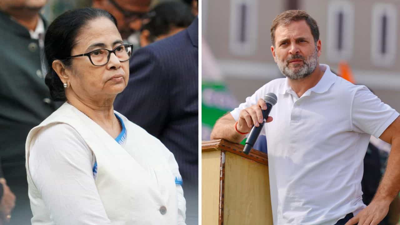 Mamata-Rahul: জোট জল্পনার মাঝেই একই সময়ে উত্তরবঙ্গে মমতা-রাহুল