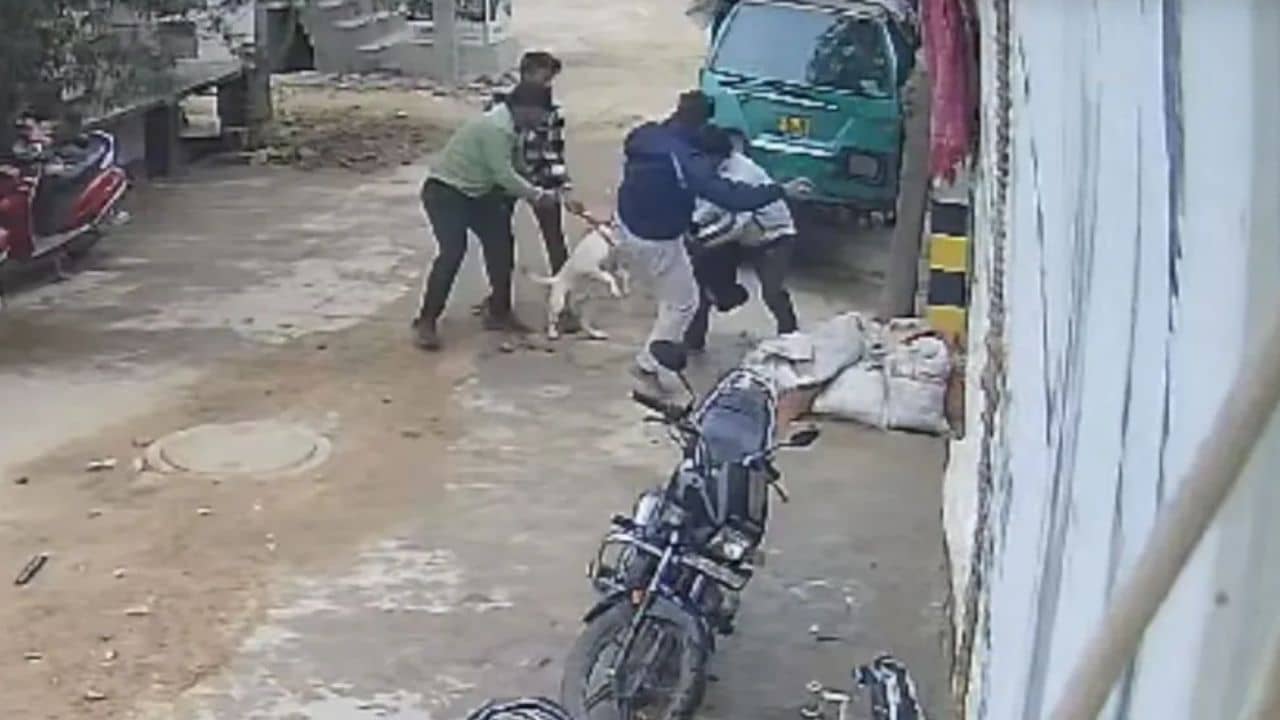 Dog bites child: দাদুর কোল থেকে একরত্তিকে হিঁচড়ে নিয়ে কামড় কুকুরের, ছোট্ট পায়ে বসিয়ে দিল দাঁত