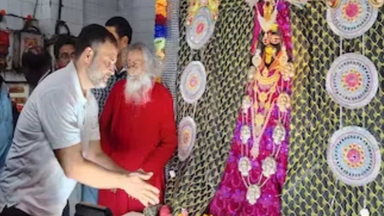 Video: 'ন্যায় যাত্রা' চলাকালীন অন্য ভূমিকায় রাহুল গান্ধী, পুজো দিলেন কালী মন্দিরে Video: 'ন্যায় যাত্রা' চলাকালীন অন্য ভূমিকায় রাহুল গান্ধী, পুজো দিলেন কালী মন্দিরে