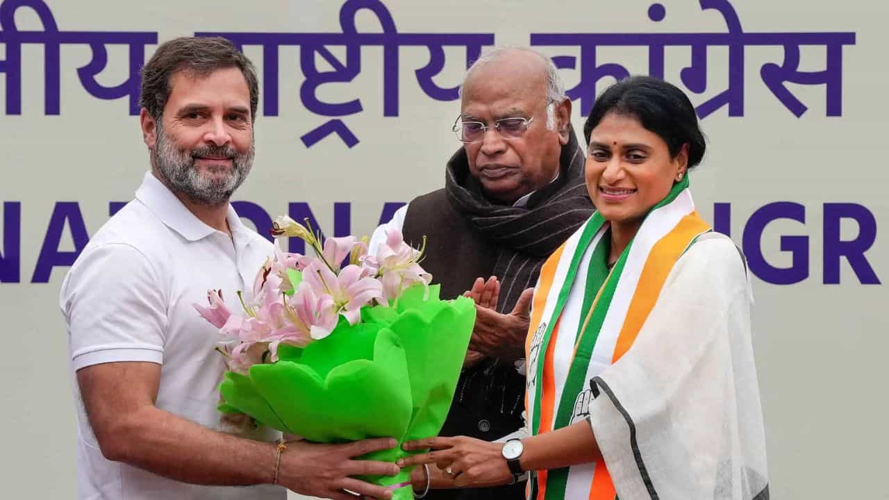 Congress: কংগ্রেসে যোগ দিয়েই বড় দায়িত্ব পেতে চলেছেন জগন্মোহন-সহোদরা Congress: কংগ্রেসে যোগ দিয়েই বড় দায়িত্ব পেতে চলেছেন জগন্মোহন-সহোদরা