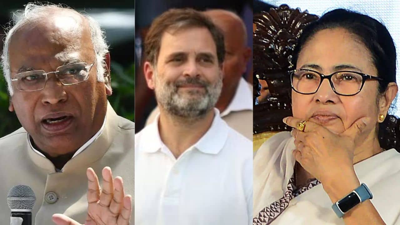 Mallikarjur Kharge: রাহুলের ন্যায় যাত্রা নিয়ে মমতাকে চিঠি খাড়্গের, কী লিখলেন কংগ্রেস সভাপতি?