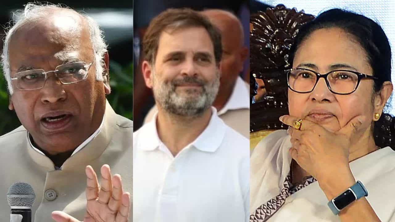 Mallikarjur Kharge: রাহুলের 'ন্যায় যাত্রা' নিয়ে মমতাকে চিঠি খাড়্গের, কী লিখলেন কংগ্রেস সভাপতি? Mallikarjur Kharge: রাহুলের 'ন্যায় যাত্রা' নিয়ে মমতাকে চিঠি খাড়্গের, কী লিখলেন কংগ্রেস সভাপতি?